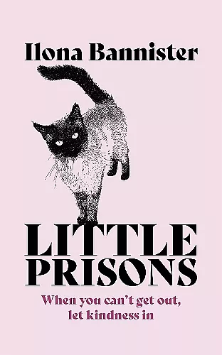 Little Prisons cover