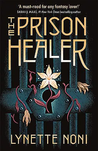 The Prison Healer cover