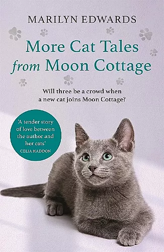 More Cat Tales From Moon Cottage cover