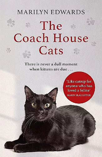 The Coach House Cats cover