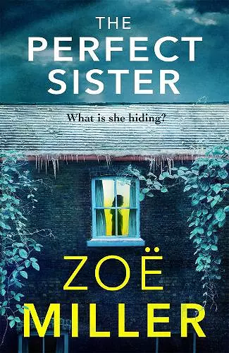 The Perfect Sister cover