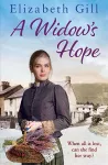 A Widow's Hope cover