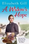 A Widow's Hope cover