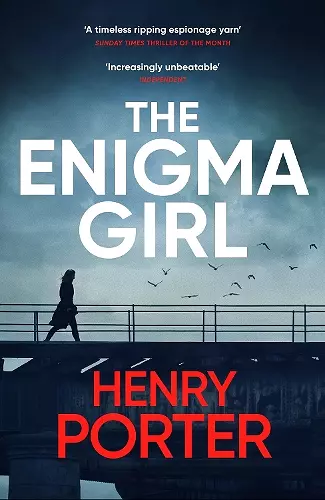 The Enigma Girl cover