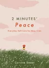2 Minutes' Peace cover