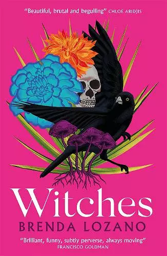 Witches cover