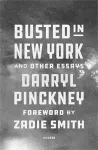 Busted in New York & Other Essays cover