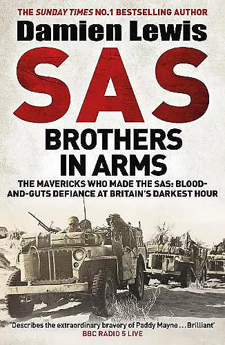 SAS Brothers in Arms cover