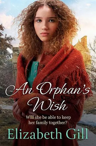 An Orphan's Wish cover