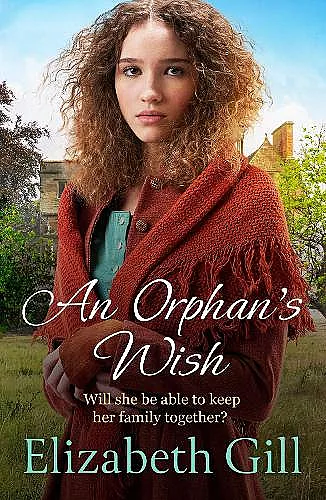 An Orphan's Wish cover