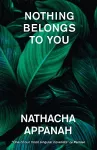 Nothing Belongs to You cover
