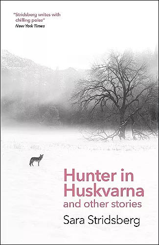 Hunter in Huskvarna cover
