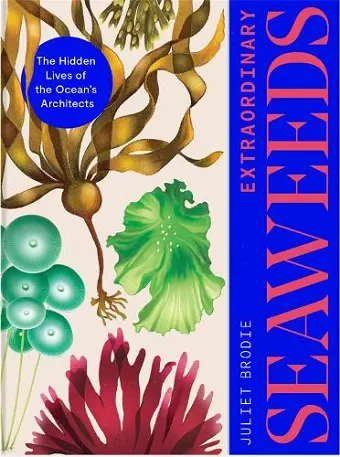 Extraordinary Seaweeds cover