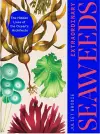 Extraordinary Seaweeds cover