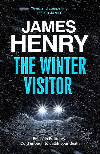 The Winter Visitor cover