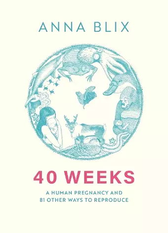 40 Weeks cover