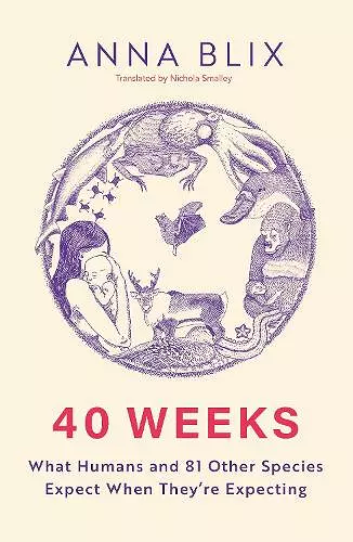 40 Weeks cover