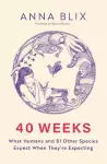 40 Weeks cover