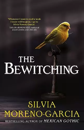 The Bewitching cover