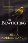 The Bewitching cover