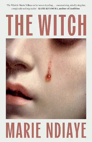 The Witch cover