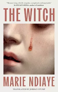 The Witch cover