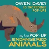 My First Pop-Up Endangered Animals cover