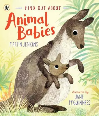 Find Out About ... Animal Babies cover