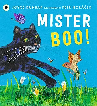 Mister Boo! cover