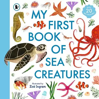 My First Book of Sea Creatures cover