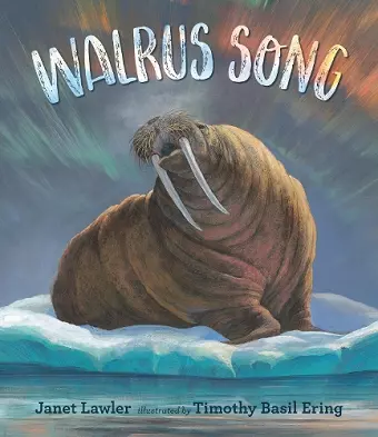 Walrus Song cover