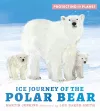 Protecting the Planet: Ice Journey of the Polar Bear cover