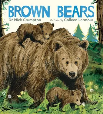 Brown Bears cover
