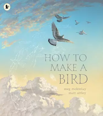 How to Make a Bird cover