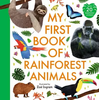 My First Book of Rainforest Animals cover