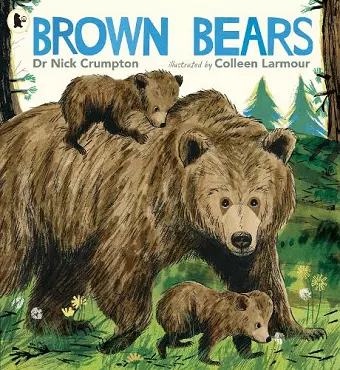 Brown Bears cover