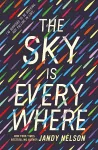 The Sky Is Everywhere cover