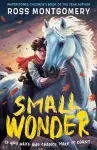 Small Wonder cover