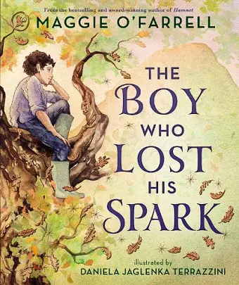 The Boy Who Lost His Spark cover
