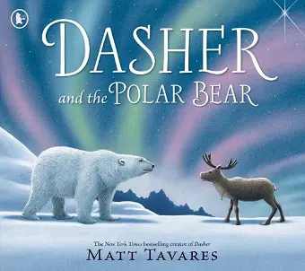 Dasher and the Polar Bear cover
