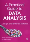 A Practical Guide to Data Analysis cover