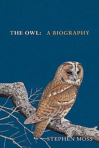 The Owl cover