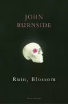 Ruin, Blossom cover