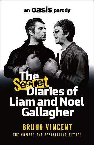 The Secret Diaries of Liam and Noel Gallagher cover