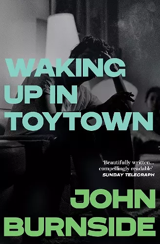 Waking Up in Toytown cover