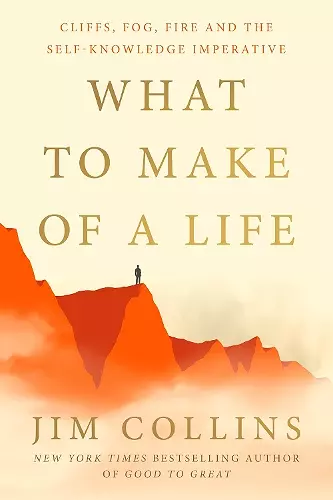 What to Make of a Life cover