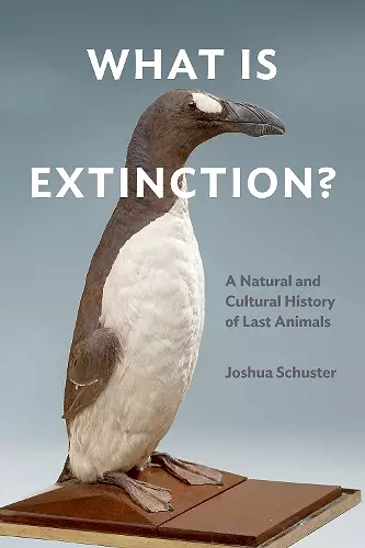 What Is Extinction? cover