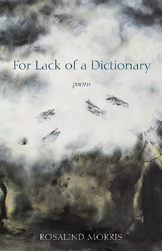 For Lack of a Dictionary cover