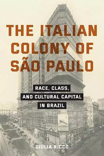 The Italian Colony of São Paulo cover