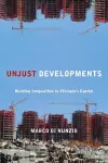 Unjust Developments cover